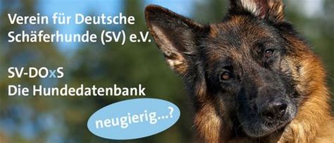 sv-doxs|sv doxs hundedatenbank.